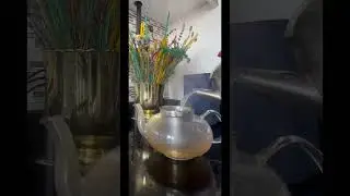 milk oolong #vlog #video #shorts #shortvideo #status #instagram #s