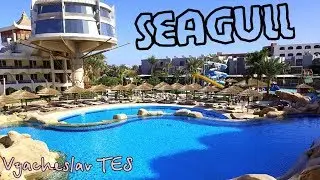 Отель Seagull Beach Resort 4* Хургада. Енипет