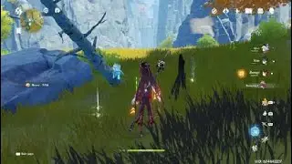 Genshin Impact team death target
