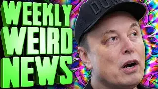 This Man Is High As A Kite 24/7 - Weekly Weird News