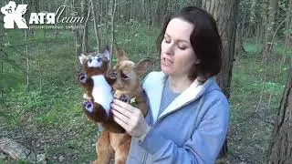 каракал игрушка
