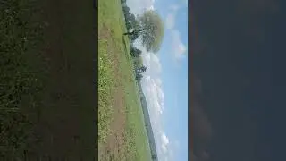 #viralnews #ईश्वर सत्य है
