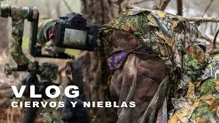 VLOG / Venados y Nieblas