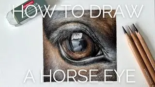How to draw a realistic horse eye | Coloured pencil Tutorial - Part 2/2