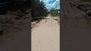 batang kelapa jadi jembatan