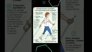 Живите дольше-ходите больше! и лучше с палками, а не с авоськами))