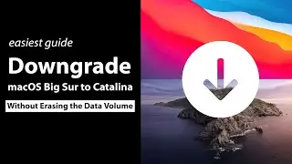 How to downgrade from macOS Big Sur to Catalina without using data