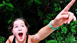 WHAT'S UP THERE?!