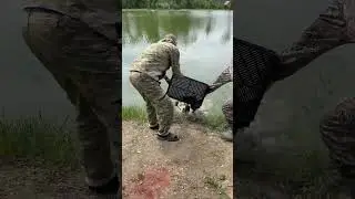 Платная рыбалка, пруд Чёрные камни 17.07.23. Добавили линя.