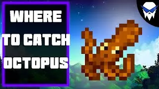Stardew Valley – How to Catch Octopus (Best Spots & Simple Tips)