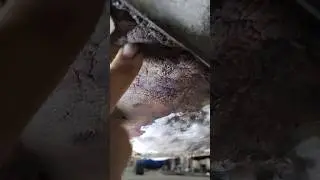 паралон в место днища