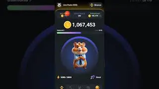 Hamster Kombat Token. Como Farmar 1 Milhão de Moedas.
