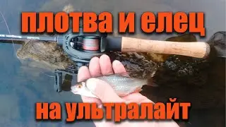 Плотва и елец на ультралайт