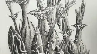 Drawing alien flowers in pencil
