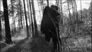 Hold On (first version)