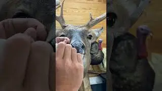 Nose Candy