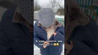 Собачка под мышкой😅