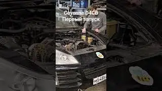 Porsche Cayenne Turbo S с дизельным D4CB запущен