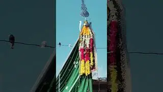 Alamdar bhi ho|Meesam Abbas Noha | karbala #nohastatus #shorts #shortage #ytshorts #cover #live #1m