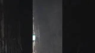 Duck Watching baby duck edition 02