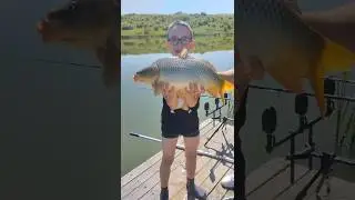 Ловля карпа  #shorts