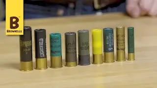 Quick Tip: Introduction to Shotshells
