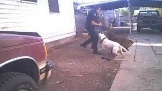 Graphic Content: Nampa police release video of dogs attacking officer prior to shooting