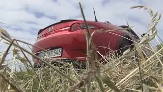 Zymexx/Fox Sportauspuff - Mazda MX 5 ND