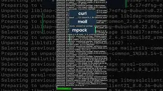 How to send email from linux using smtp? - Tutorial by Mailtrap