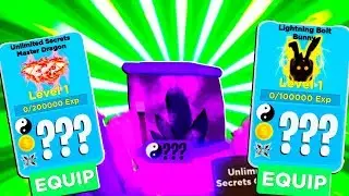 WHERE TO FIND THE UNLIMITED SECRET PET CRYSTAL In Ninja Legends Update Roblox