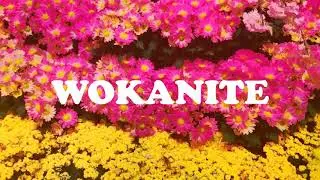Carnival (Bouncy Swing Pop Instrumental)
