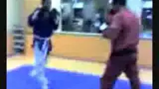 Pará Vs os pit bulls