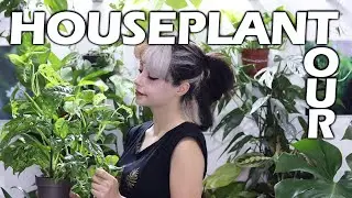 My Houseplant Collection | Plant Tour 2022 🌿