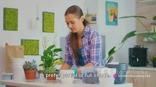 Gardening Tips