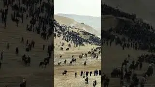 н гончи