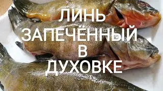 Запечённый в духовке ЛИНЬ. Простой рецепт для хорошего настроения |Мировой закусон