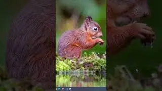 😅 Close Unresponsive Applications on Windows - Quick Fix - 💯 #shorts