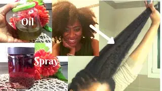 Omg! Use this Powerful 1 base, 2 recipes (Hair oil & spray) to Re-Grow bald spots & Stop breakage.