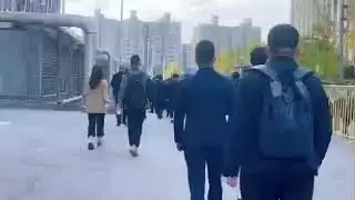 DentechChina2021 cingol