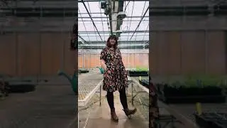 Miss Frizzle inspired style