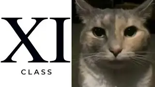 Ranking School Grades (CLASS 1-12) With MEMES (Part 2)