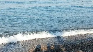 Шум моря Утренний пляж 7 часов утра, спокойное море #море #шумморя #стрим