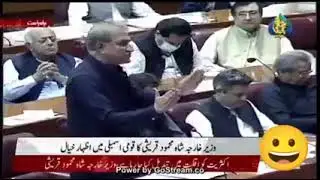 PTI MNAs in National Assembly #imrankhan  #pti