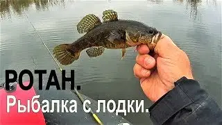 Ротан Рыбалка с лодки. Ротан на поплавок и бортовую удочку.