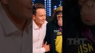 Кто стал дублёром Ильи Соболева в «Шоу Воли»? «Шоу Воли» в воскресенье в 23:00 на ТНТ #ШоуВоли