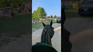 Horses at a Tractor Pull 😹