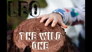 Leo the wild one