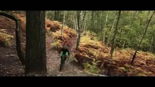 Hugo Lateltin Autumn Leaves