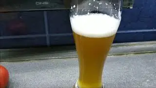 Проба пшеничного пива.
