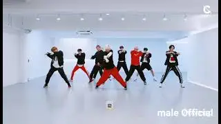 (Stray Kids) - 'Circus' Dance Practice (Magic Dance)